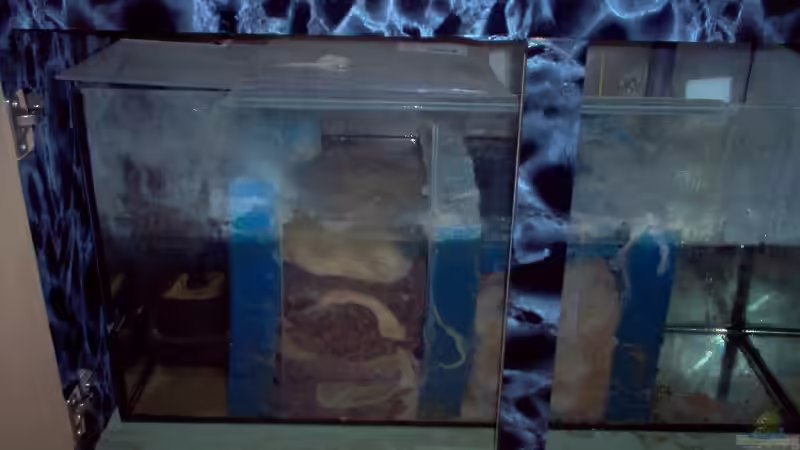 Biofilter 1 von Alexander Siefer (8)