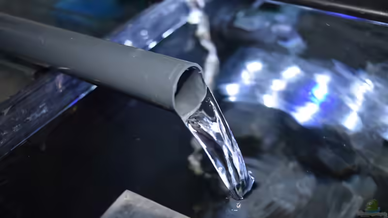 Biofilter Auslauf von Bowa (22)