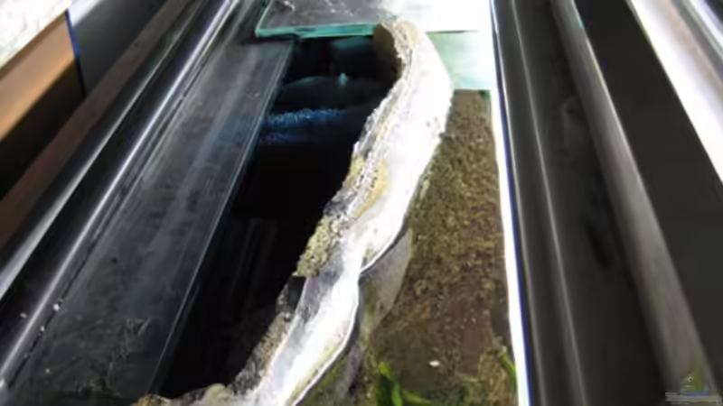 Biofilter hinter BTN und Leuchtstoffröhren frei verschiebbar von JoSchi (9)