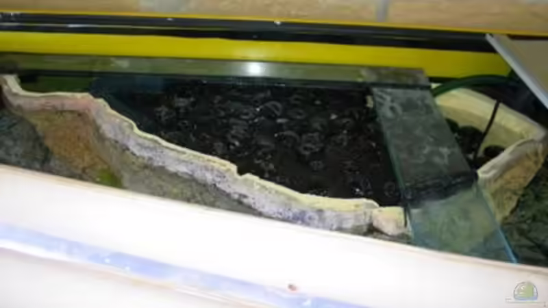 Biofilter im ??berhang von Michaela Krause (13)