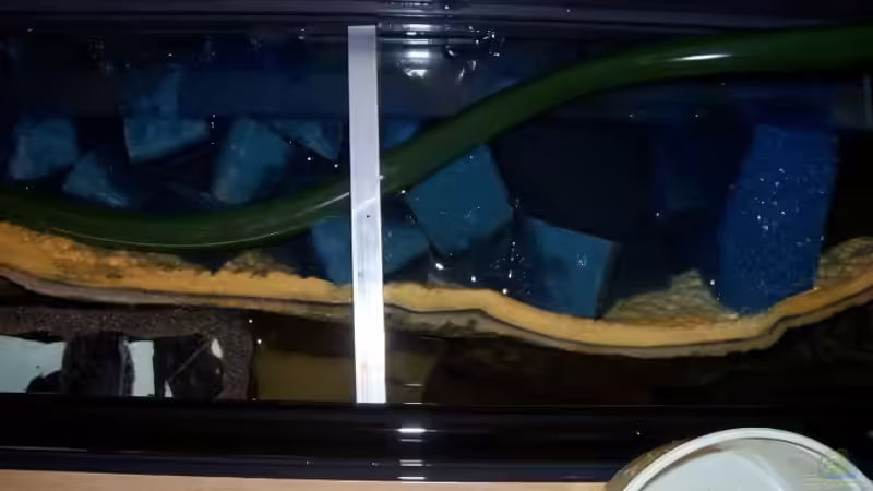 Biofilter von Michael Götz (10)