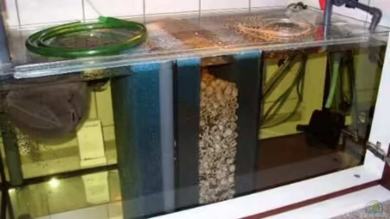 Biofilter von Uwe Krowiorsch (5)