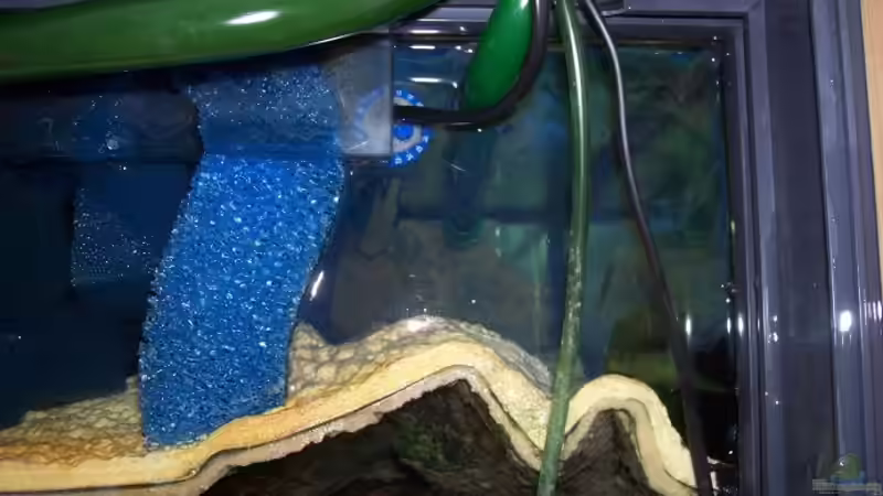 Biofiltereinlauf + Jäger Reglerheizer + Ansaug 1 Eheim 2080 von Michael Götz (9)