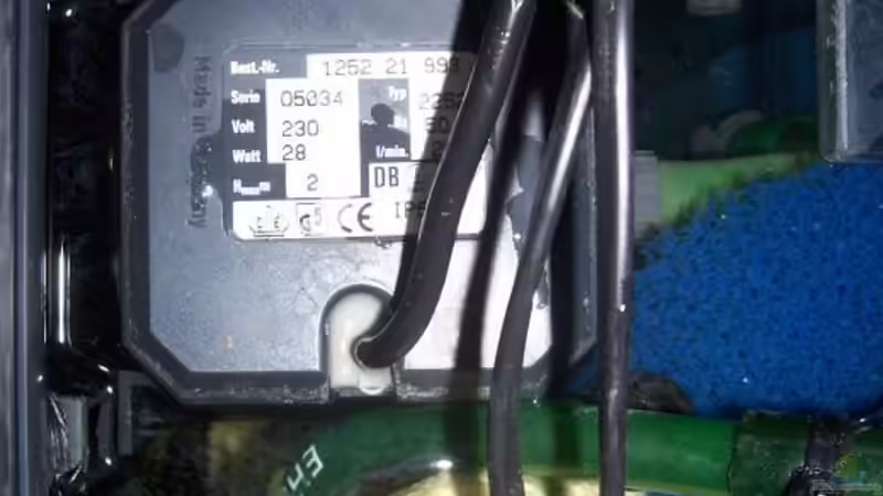 Biofilterpumpe Eheim 2252 + Auslauf von Michael Götz (11)