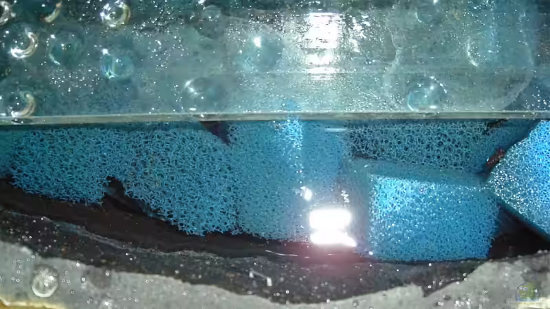 ´Biofilterung´ hinter Rückwand von Alexander Uschkoreit (11)