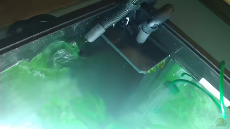 Bioflow 3.0 Umwälzpumpe mit  Fluval 205 Außenfilter von Malphite (11)