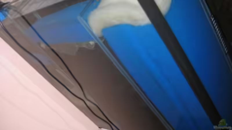 Bioinnenfilter gefüllt mit Biobällen, Schwämme u. Flies von Vicky Gröbl (18)