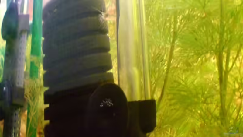 Bioluftfilter von Achim Dengler (22)