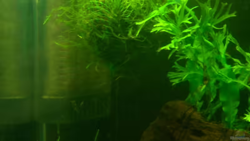 Biosphärenball - 31.03.10 von Opodeldok (19)