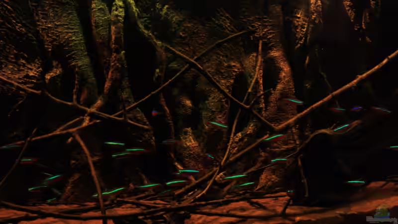 Biotop Aquarium Rio Negro, hier Ausschnitte ohne Pflanzen von Florian Bandhauer (8)