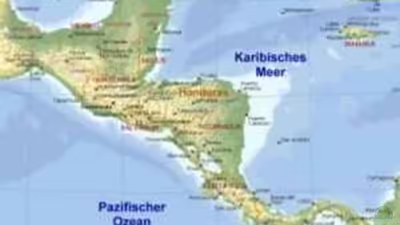 Biotop Mittelamerika  von Fireman