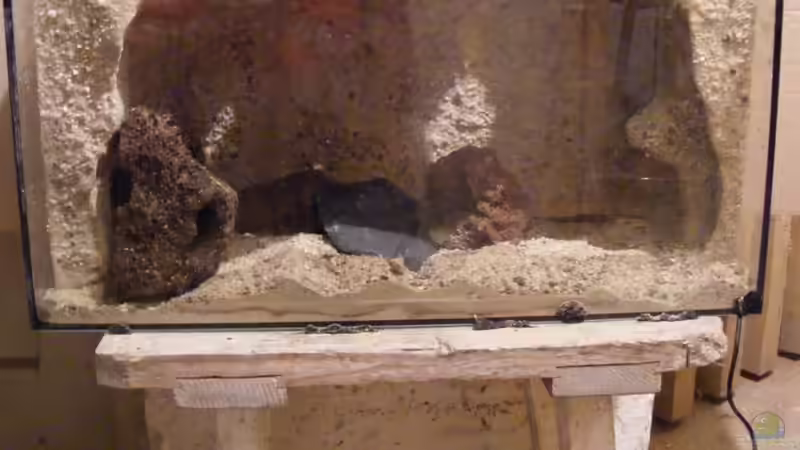 Biotope...oder wie einrichten...???Teil8 -eine Höhle wie im Rio Frio...
