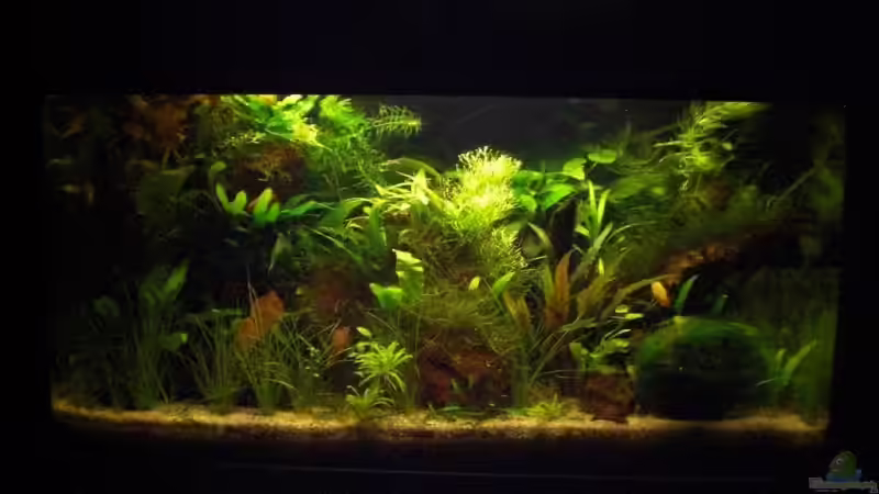 bis Dez 2008 von mawa (2)