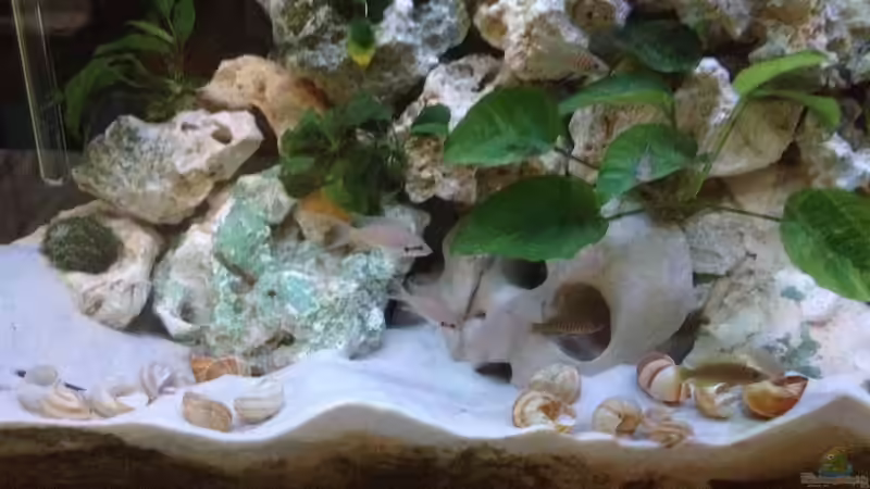 Bis hier und nicht weiter :-) von similis (33)