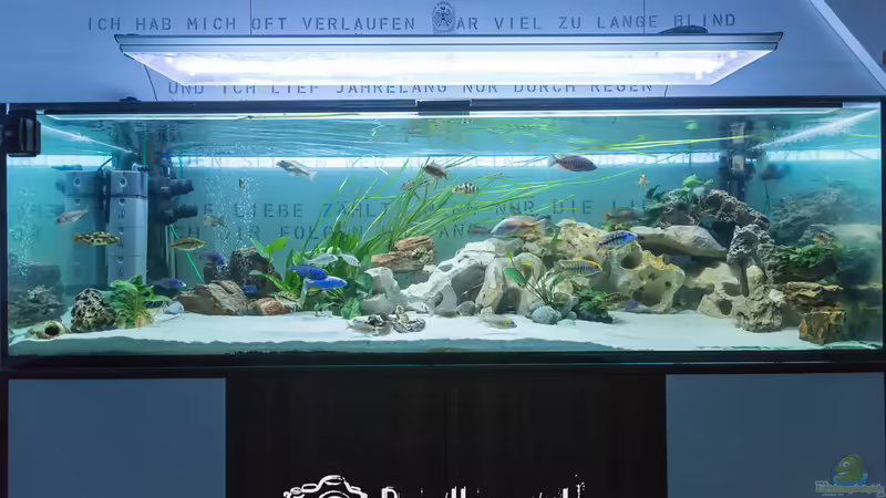 Bis zum bitteren Ende von Martin Pröll (1)