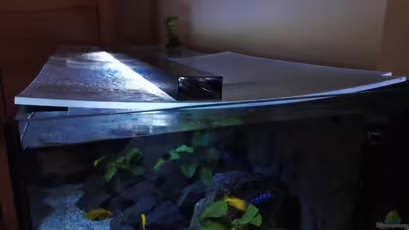 Bisher Plexiglasplatten, wie zu sehn, hat sich nicht bewährt.  von Guido Studtrucker (16)