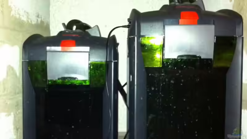 bisschen dreckig. aber ich würd die beiden nicht mehr hergeben ;) von matthiasm (32)