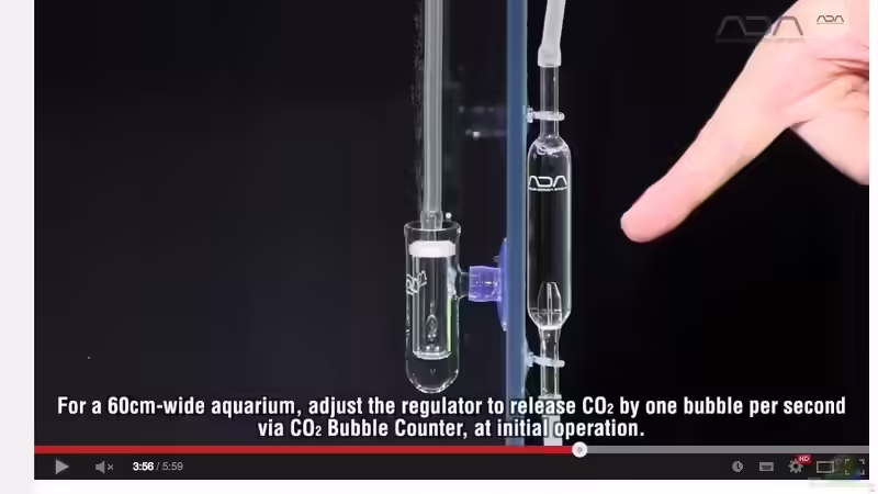 Bisschen sportlich! von Ayahuasca (167)