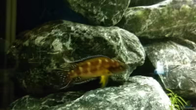 bissl verwackelt... von Julien Preuß (21)