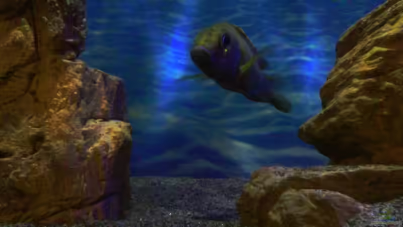 Biste immer noch da?? von Noah (32)