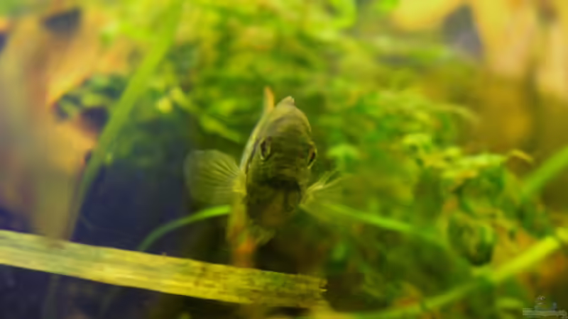 Bitte nicht stören! von LaFrieda (29)