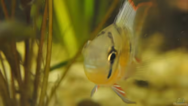 Bitte recht freundlich! von Patrick Scheffer (27)