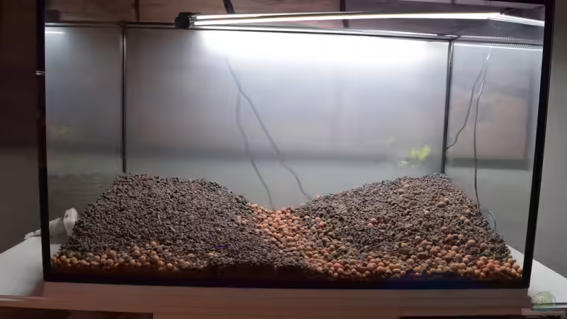 Blähton im Terrarium: Ein unschätzbares Element für eine gesunde Umgebung