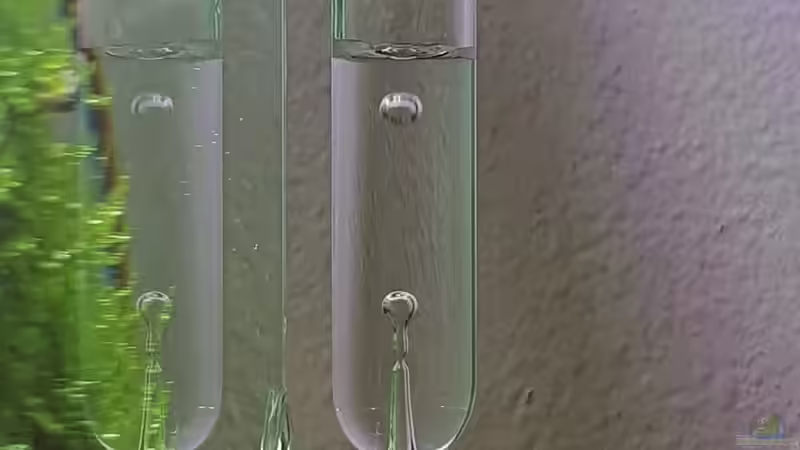 Blasenzähler mit 85%iger Glycerinfüllung von Marco B. (30)