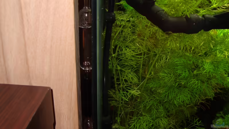 Rückschlagventil in der Aquaristik einsetzen (Einrichtungsbeispiele in denen Rückschlagventile verwendet werden)