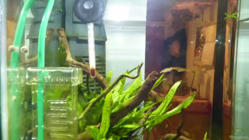 Blasenzähler und Thermometer von Josef Braun (29)