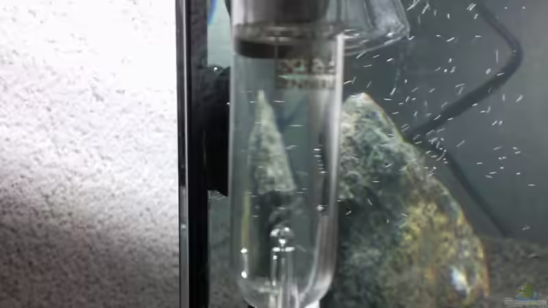 Blasenzähler von lützkopf (35)