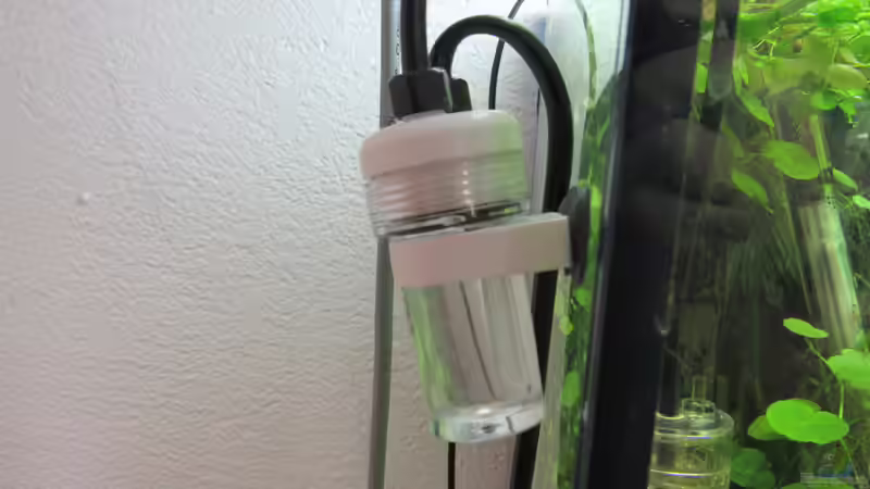 Blasenzähler von Tigerlotus (53)