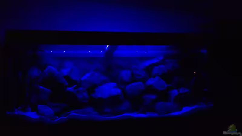 Blau/Mondlicht von Vin (6)