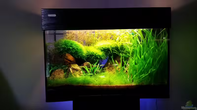 blaue Hintergrundbeleuchtung von Aquasteve (17)