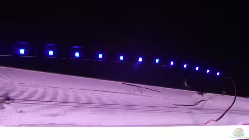 blaue LED  von Detlef Peter (23)