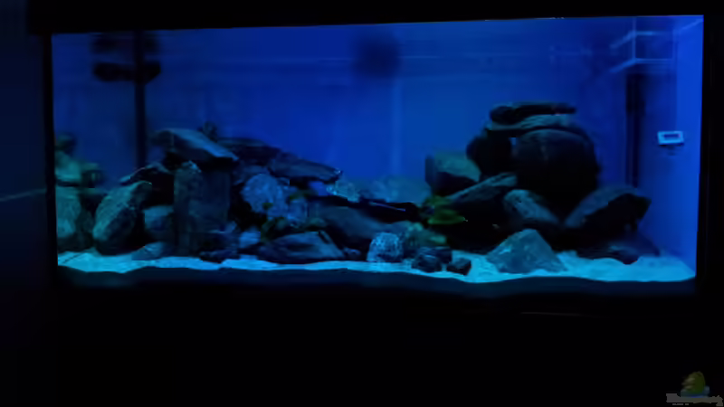 blaue LED von Silvio25 (4)