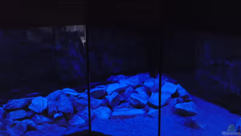 Blaue LEDs für die Nacht, würde aber auch in Grün gehen. von GGuardiaNN (80)