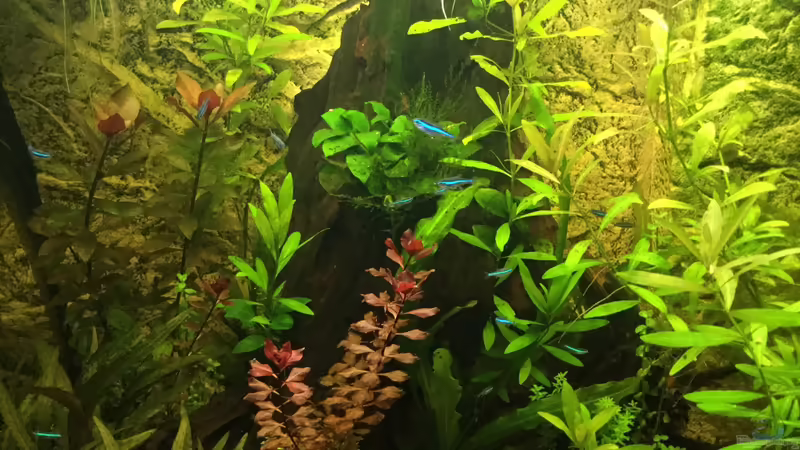 Blaue Neons  von Tobim02 (8)