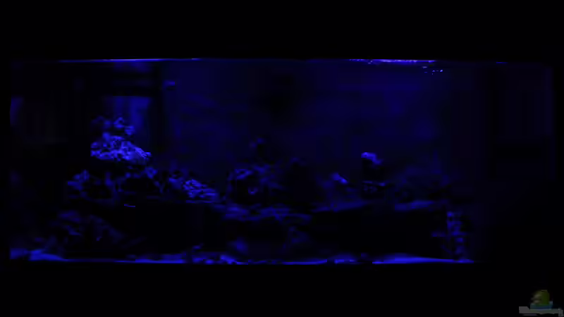 Blaue Phase - Ende der Hauptbeleuchtung von Micha (7)