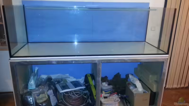 Blaue Rückwand mit Einfassung von Robert Sakautzky (25)