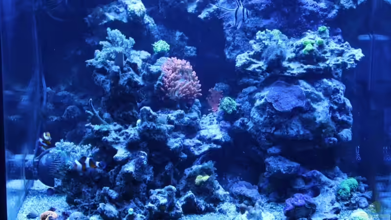 Blaulicht 13.09.2009 von Stephan Ascher (19)