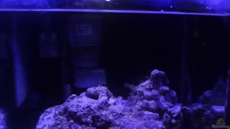 Blaulichtphase von chrisi01 (18)