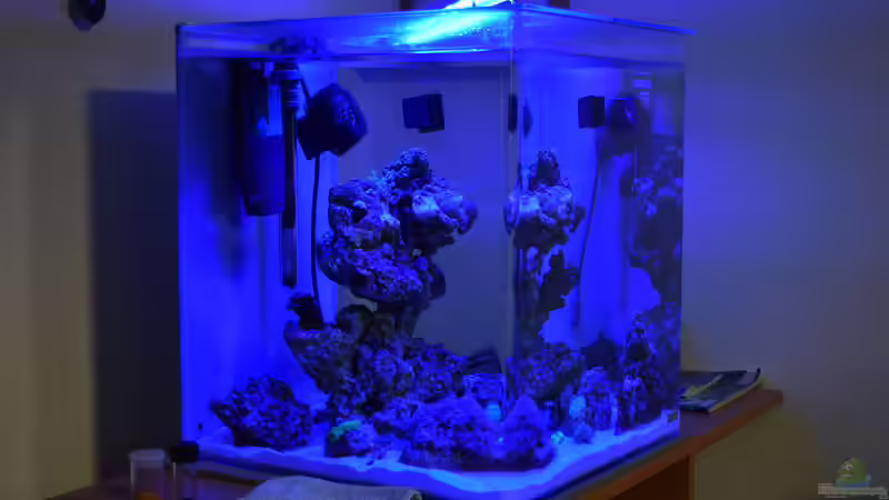 Blaulichtphase von Junglist (7)