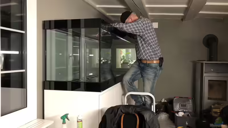 Blenden aus Schwarzglas von Hippopotan (6)