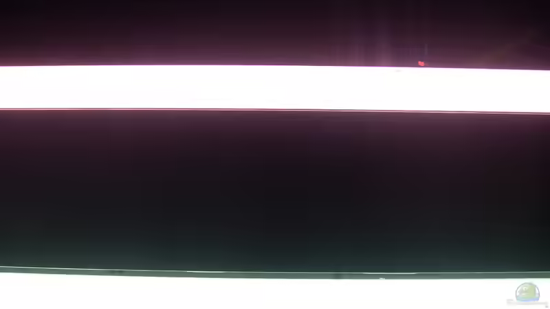 Bleuchtung mit JBL Clolour und Dennerle Amazon Day von @quarium Cologne (73)