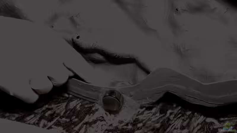 Blich auf ´Innen und Außen´ - Bereich des Moduls (Position der Magnete) von AjakAndi (33)