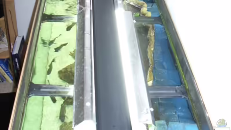 Blick auf Beleuchtung und Innenfilter von Thomas Kalisch (10)