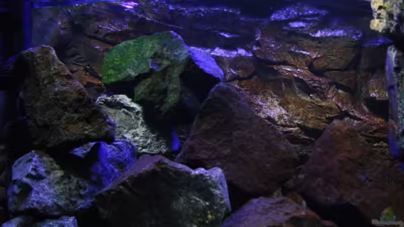 Blick auf den Basalt und leicht von unten nach oben fotografiert! von Florian Bandhauer (28)