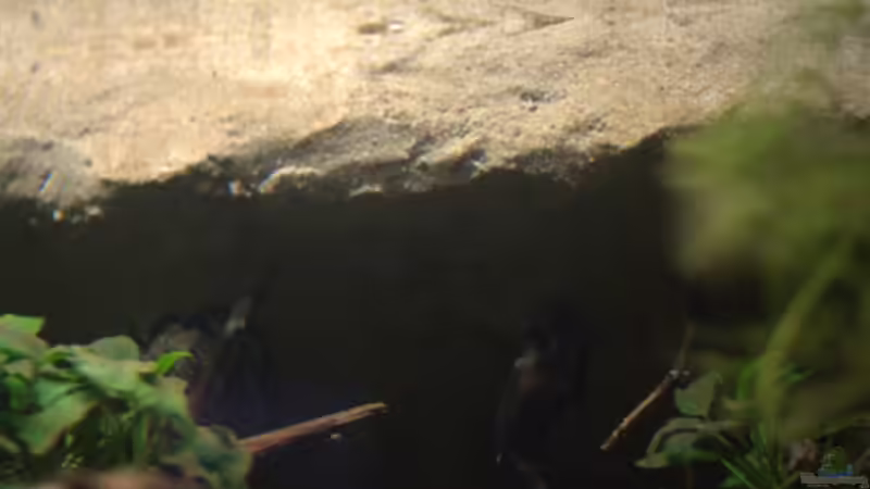 Blick auf den ??berhang von Didi (25)