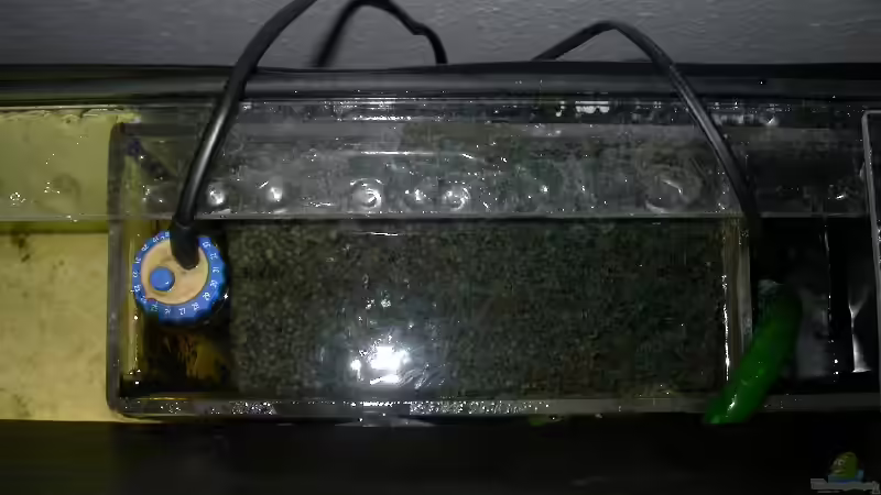 Blick auf den Filter von oben von Alex Stark (4)